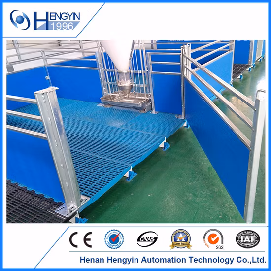 Pig Farming Equipment Nursery Crate/Pig Crate for Sale