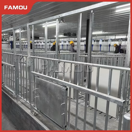 Caixa de Porco Gestação