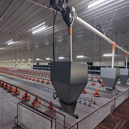 Sistema automático de alimentação e bebida de aves Equipamento de criação para criação de aves de capoeira no piso térreo usado para Guail/gado/pato/frango com robô/cortina de ventilador