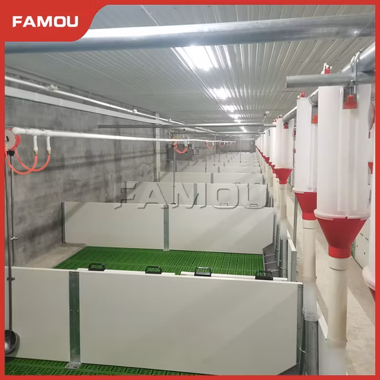 Caixas do berçário da placa do PVC do equipamento de suinocultura 500*35