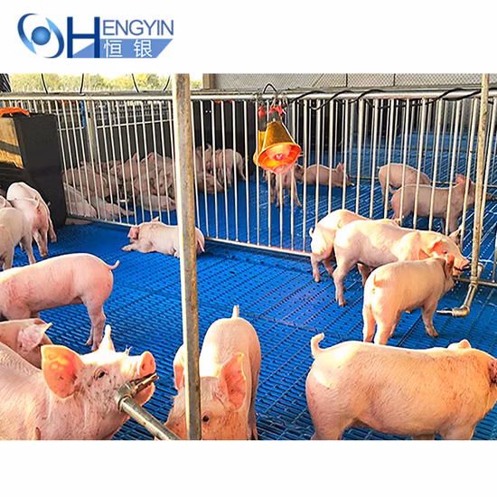 Cerca de aço para venda quente caixa de berçário para fazenda de suínos